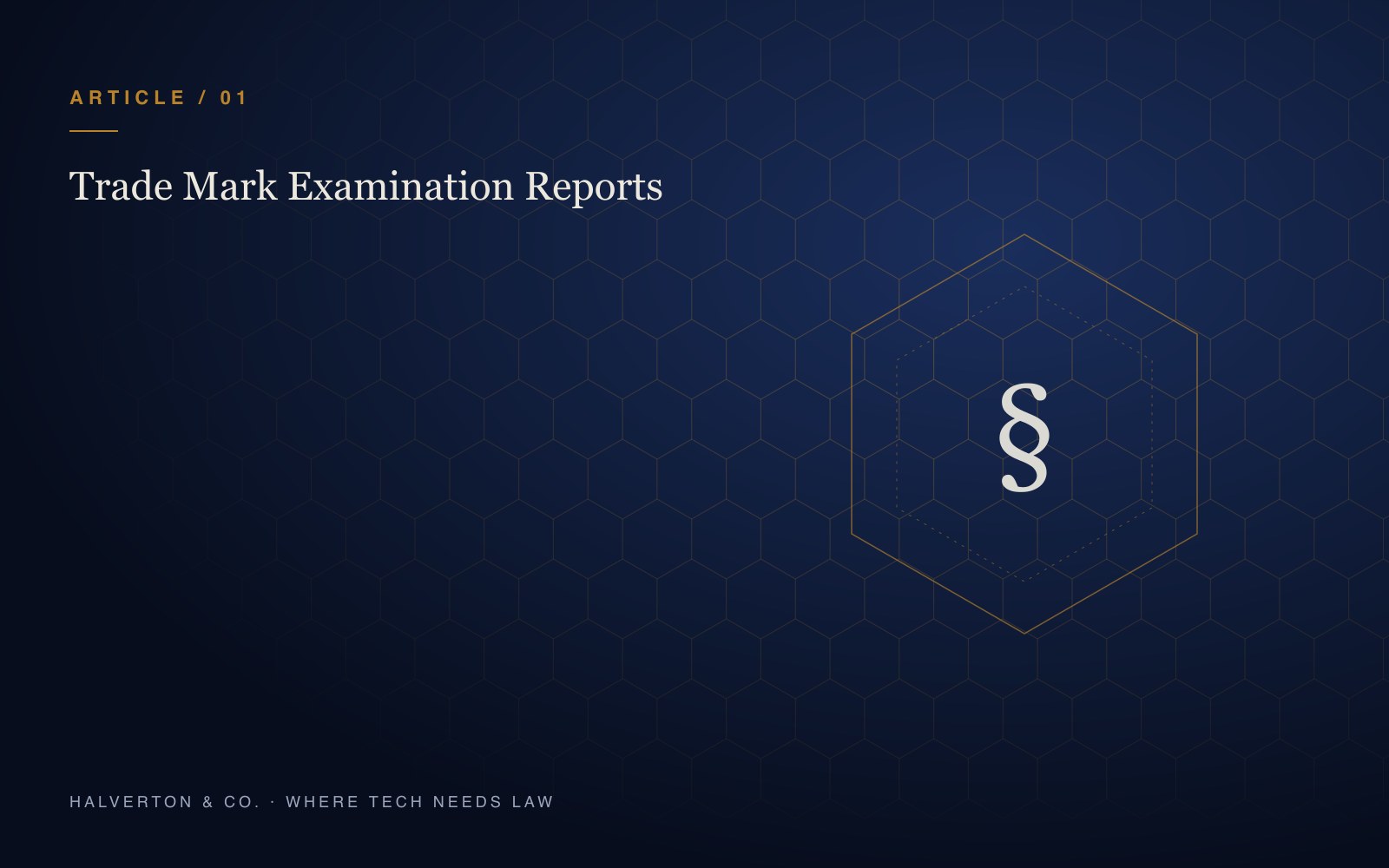 An abstract cover graphic with a section symbol inside a hexagon, marked Article 01: Trade Mark Examination Reports